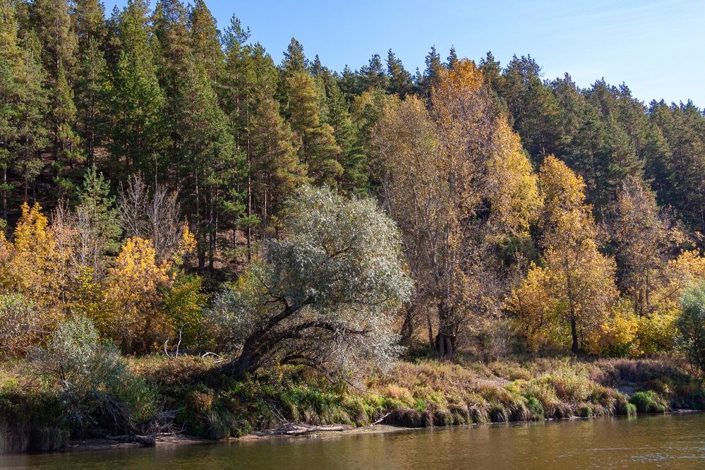 Photograph by Сергей Щербаков