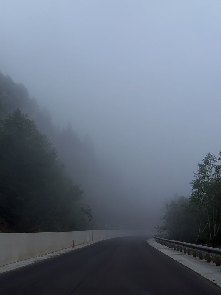 Photograph by Виктория Проданова