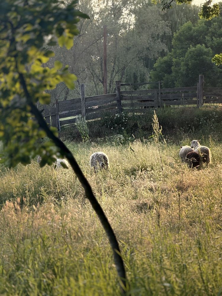 Photograph by Виктория Проданова