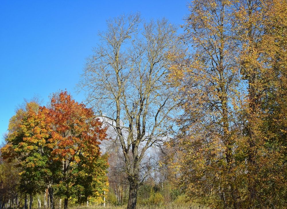 Photograph by Aleksandra Bistrova