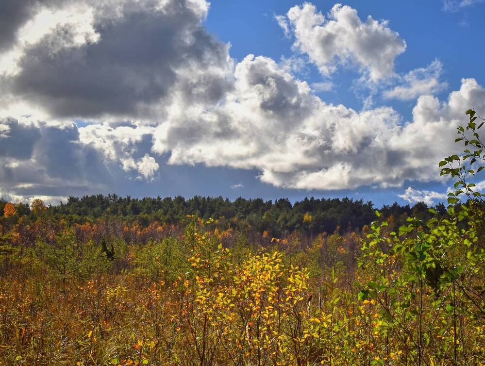 Photograph by Aleksandra Bistrova