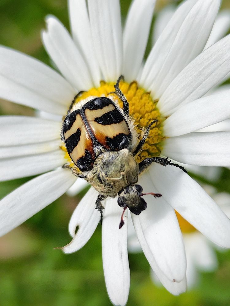 Photograph by Татьяна