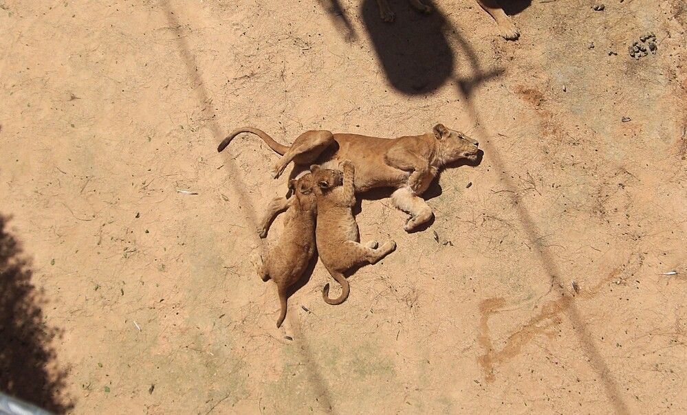 Photograph by Zakharov Matvey