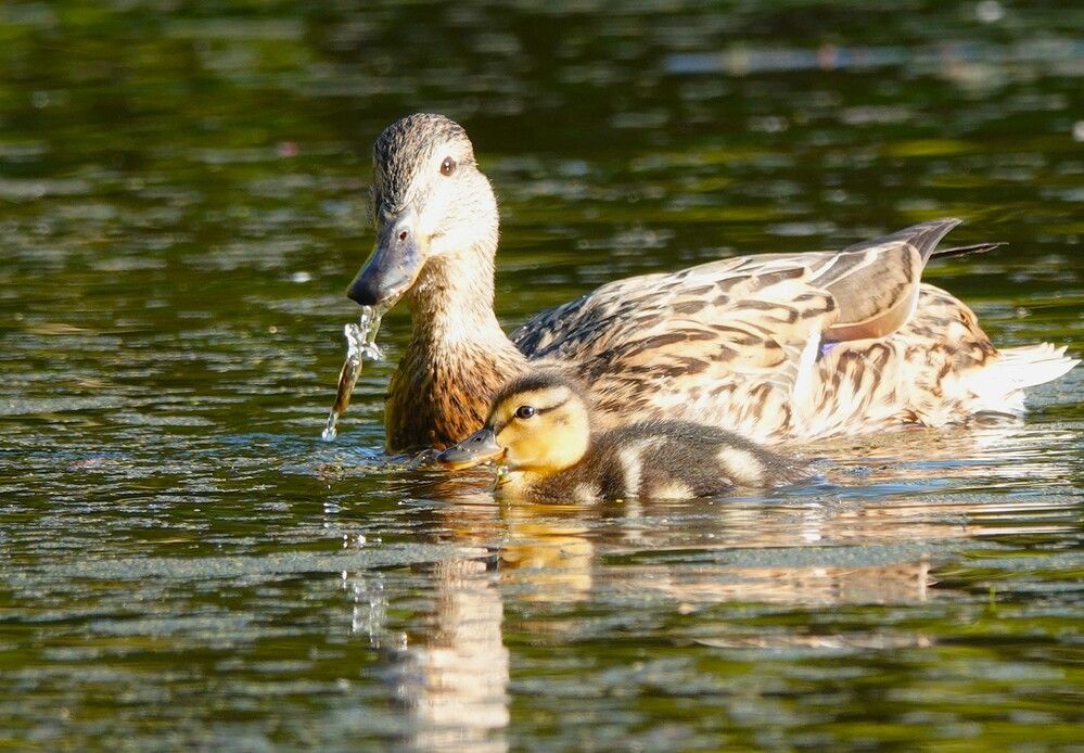 Photograph by Zakharov Matvey