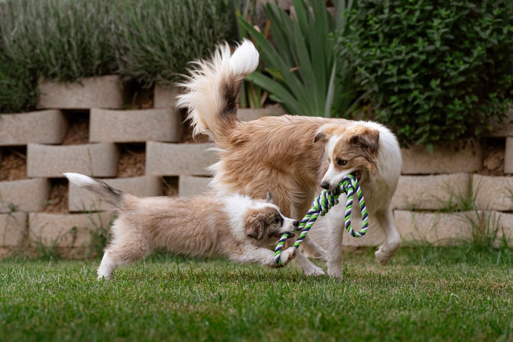 Фотография автора Krisztián Csalami