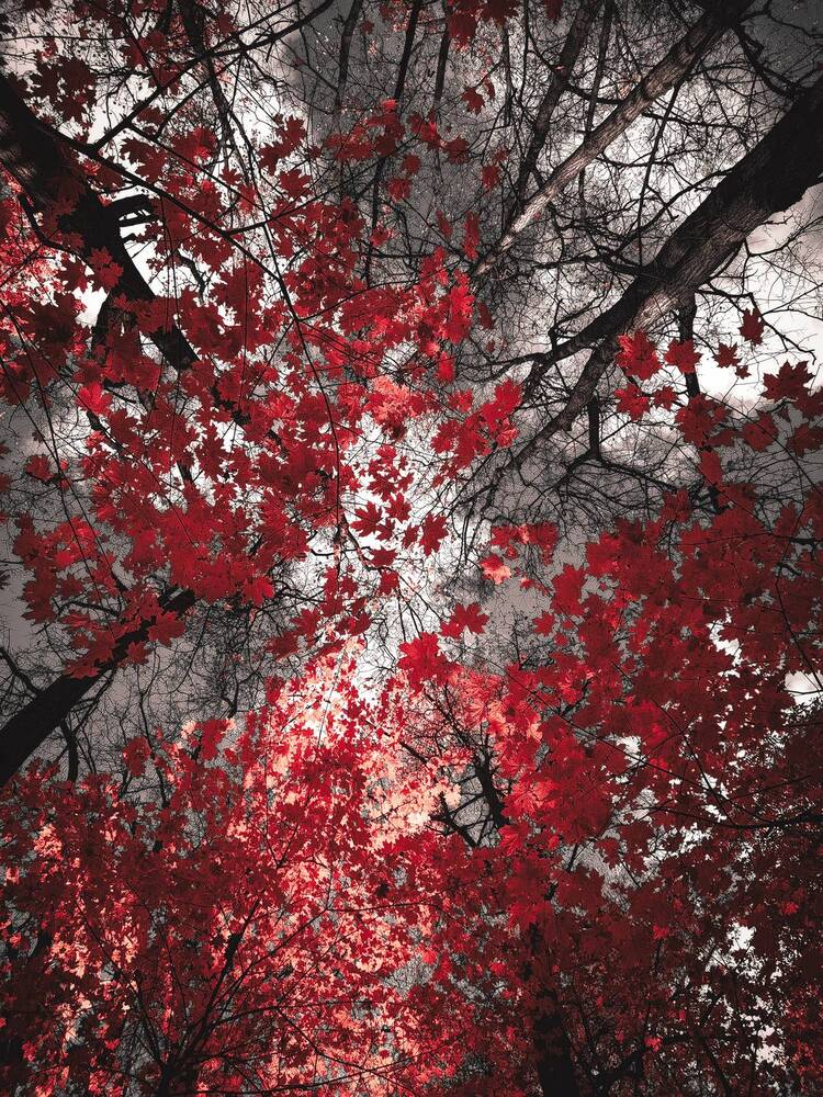 Photograph by Екатерина Никитина