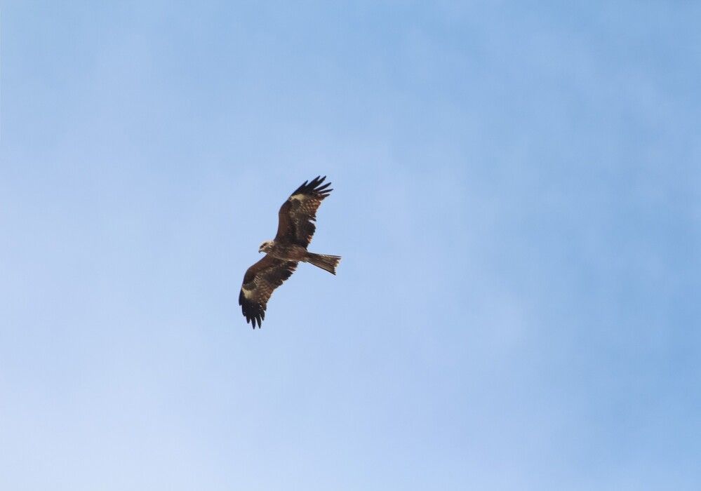 Photograph by Kim Natasha