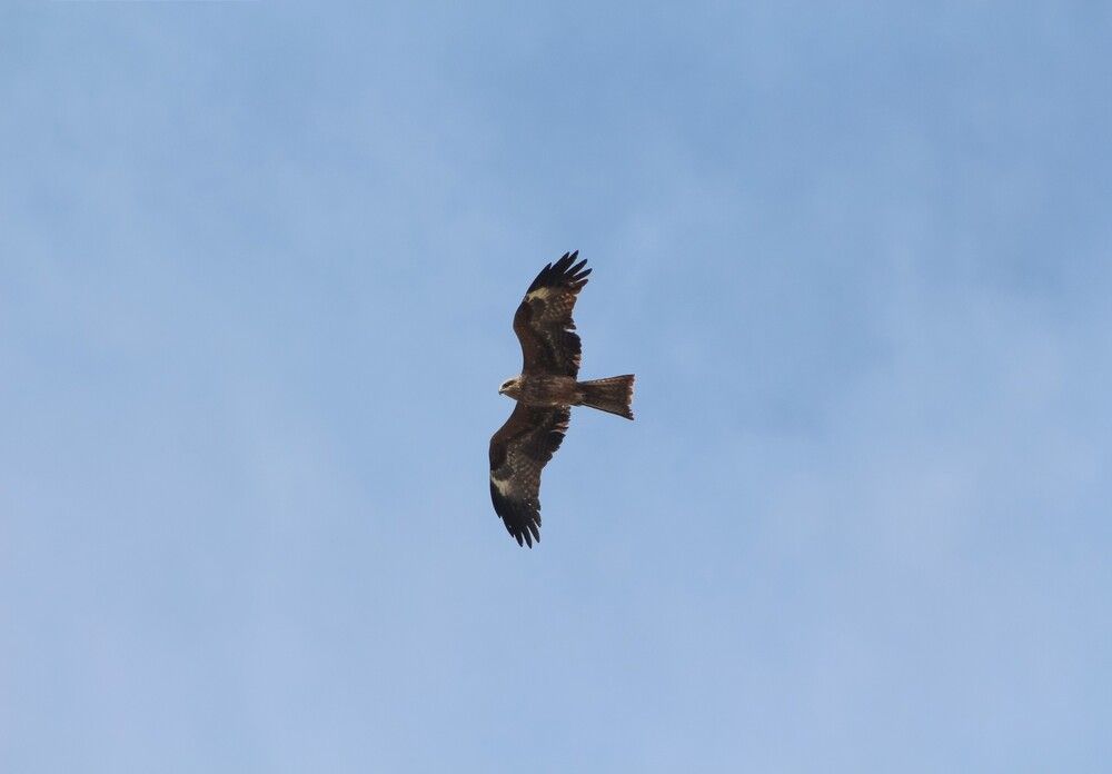 Photograph by Kim Natasha