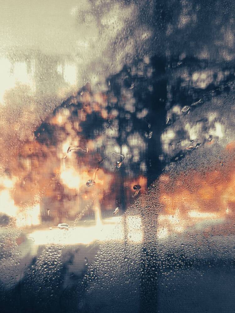 Фотография автора Elena Safarova