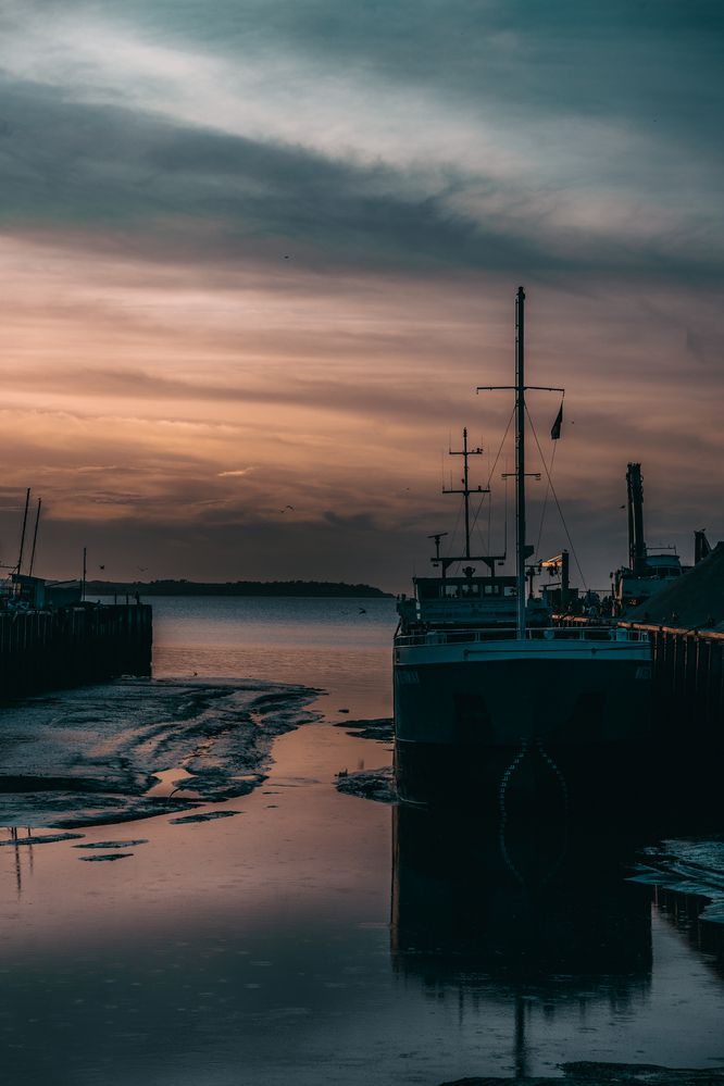 Photograph by Veslava