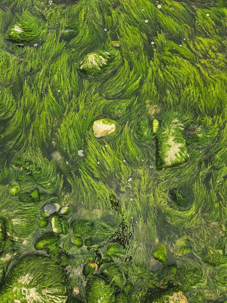 Photograph by amin roshan afshar