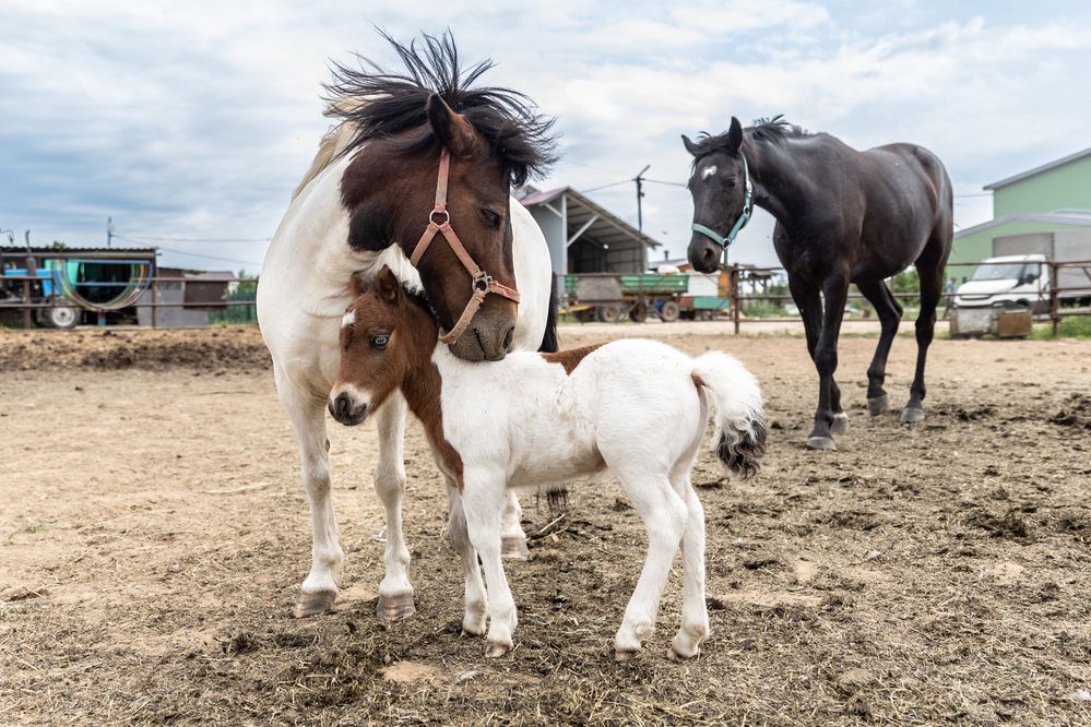 Photograph by Наталия Лысых