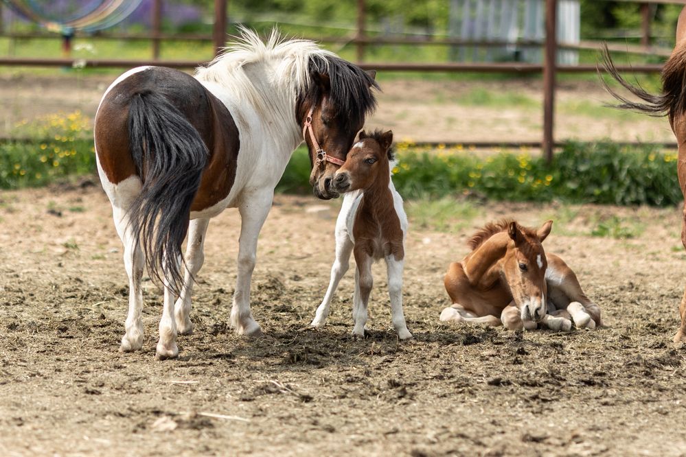 Photograph by Наталия Лысых