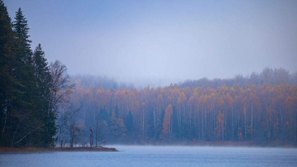 Photograph by Максим Григорьев