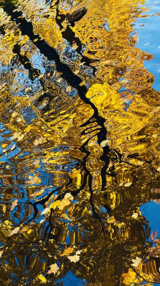 Фотография автора Alexander Solovyev