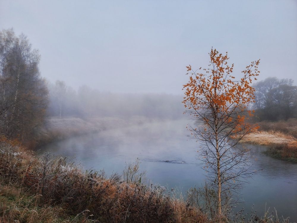 Photograph by Владимир Караман