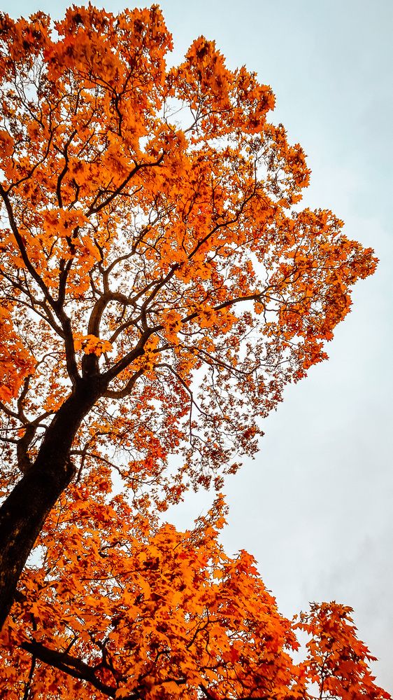 Photograph by Евгений Фисун