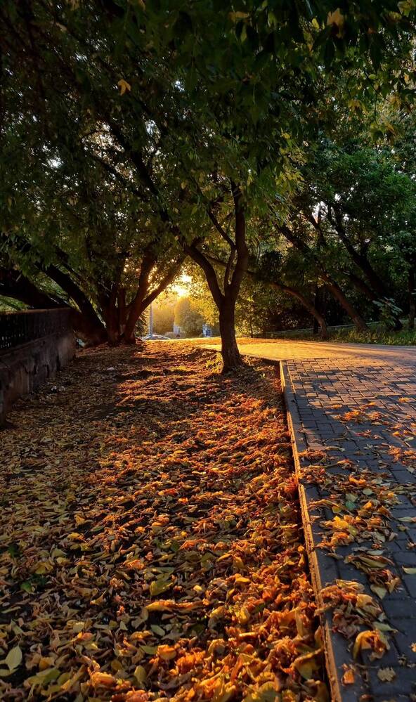 Photograph by Олег Ажгихин