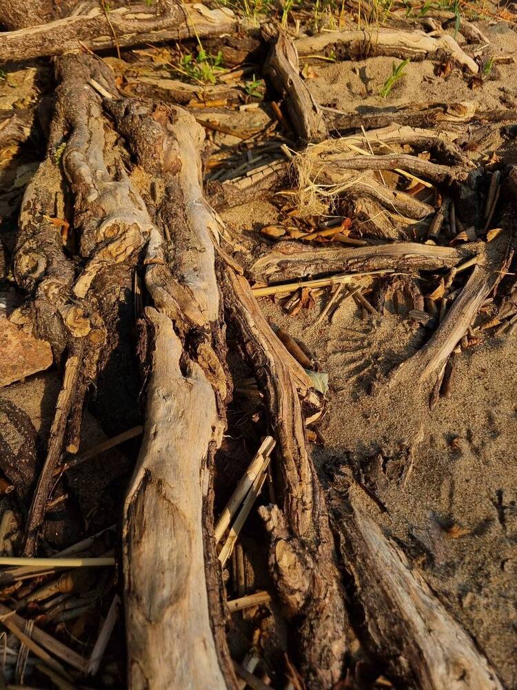 Photograph by Олег Ажгихин