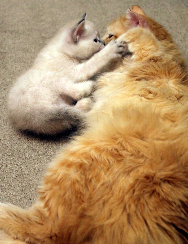 Photograph by Любовь Иванова