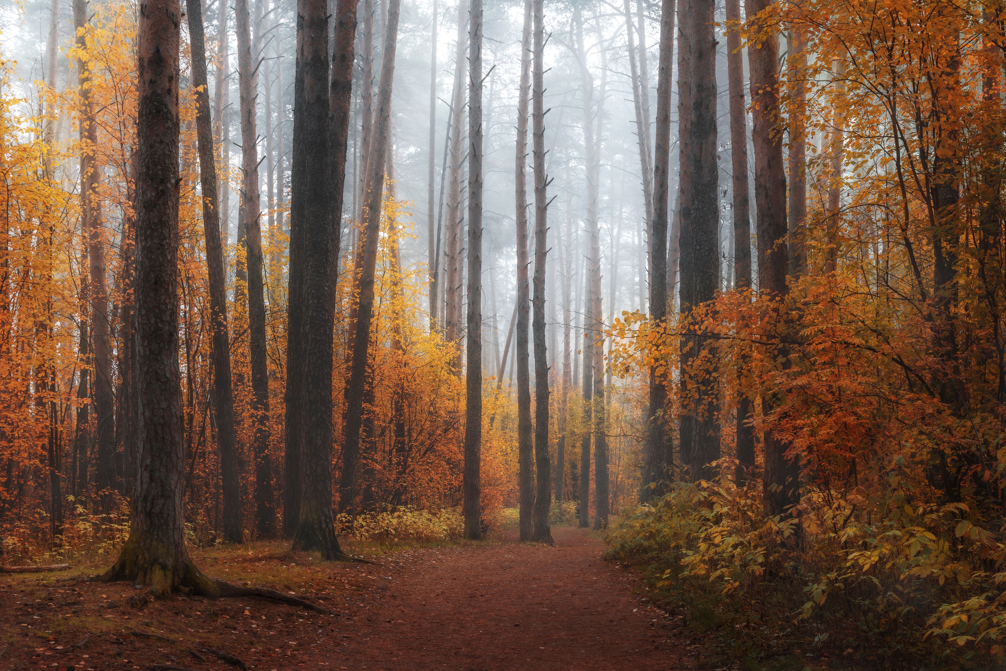 Photograph by Елена Соколова