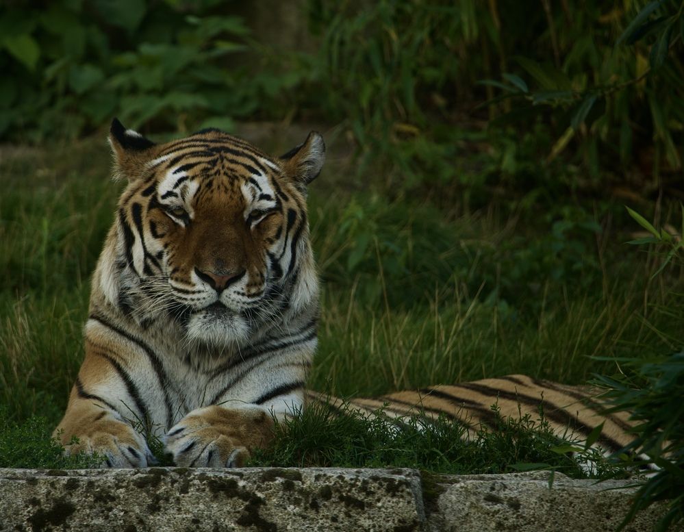 Photograph by Alena Tureva