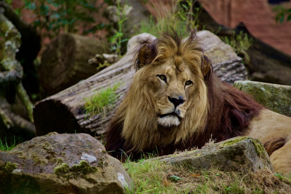 Photograph by Alena Tureva