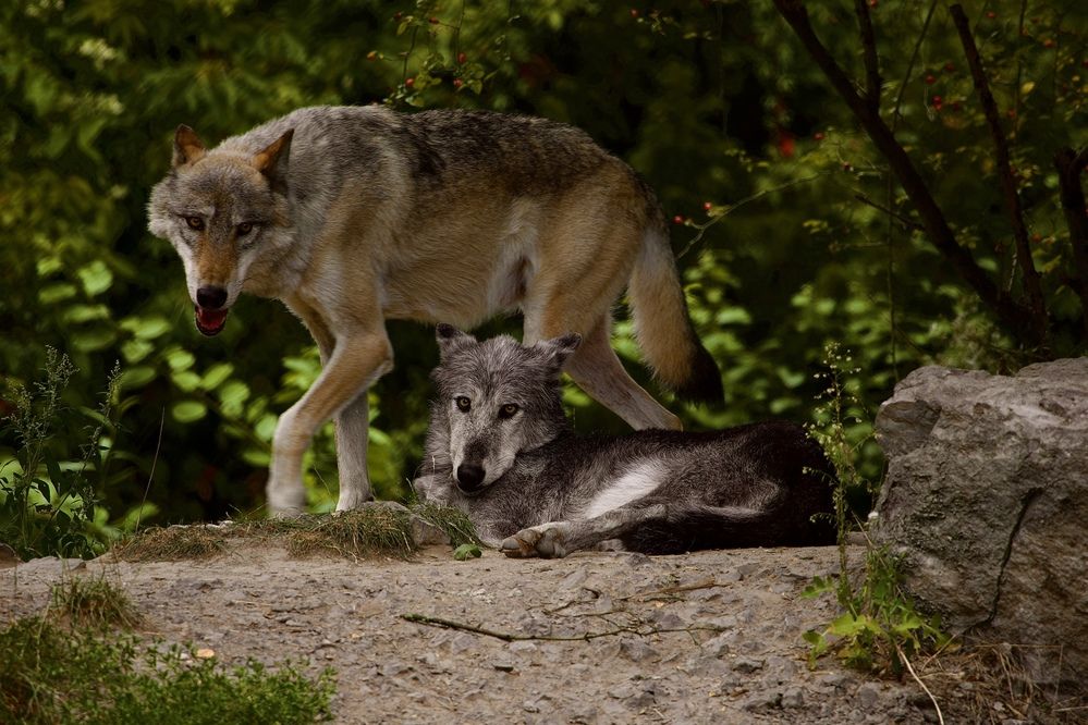 Photograph by Alena Tureva