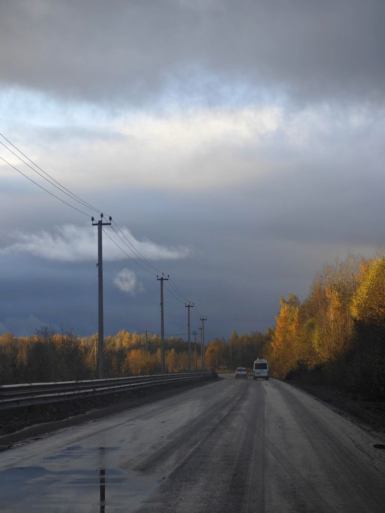 Дорога в осень