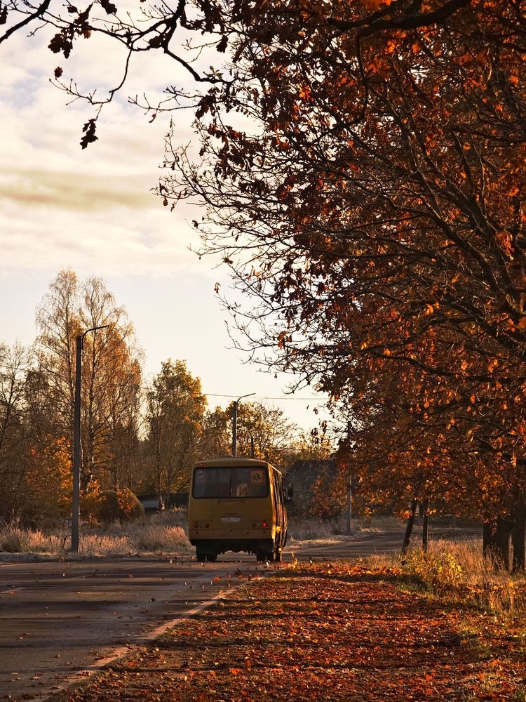 Осенний автобус