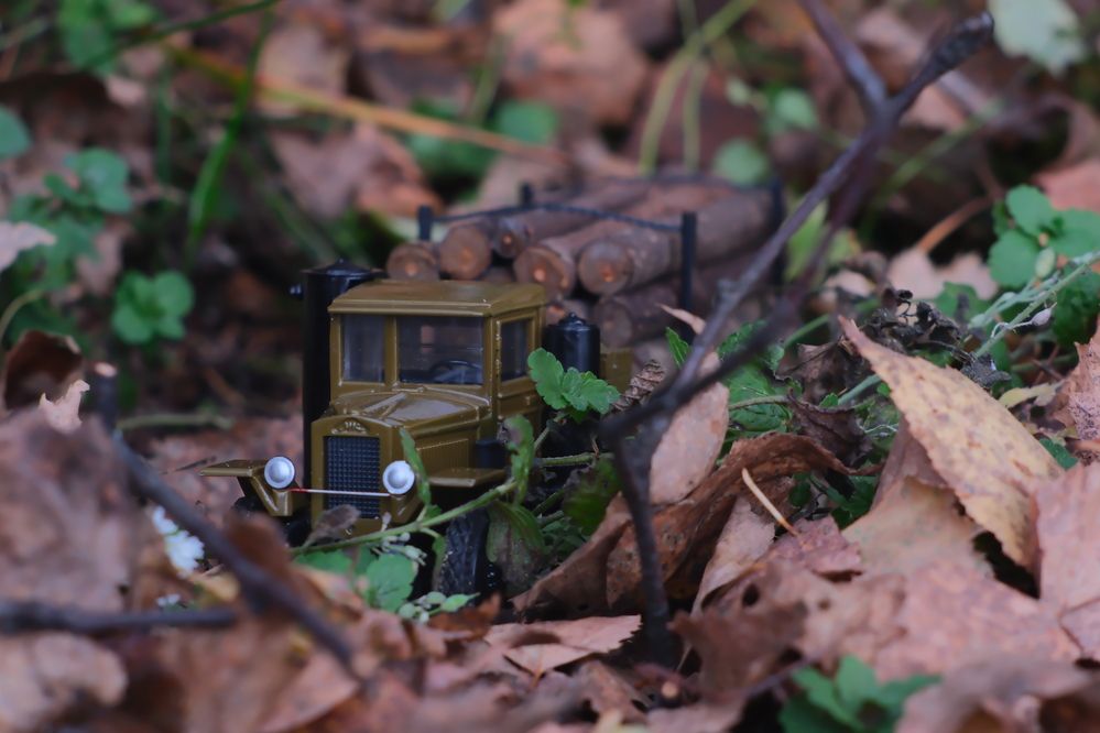 Photograph by Артём Воронин