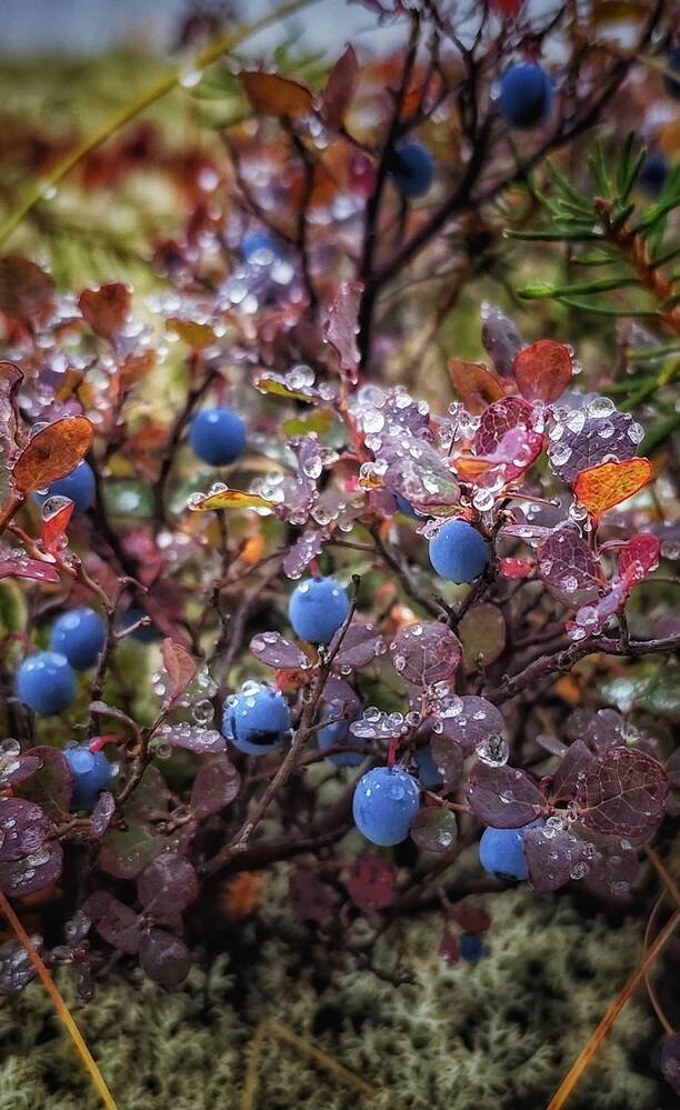 Photograph by Любомир