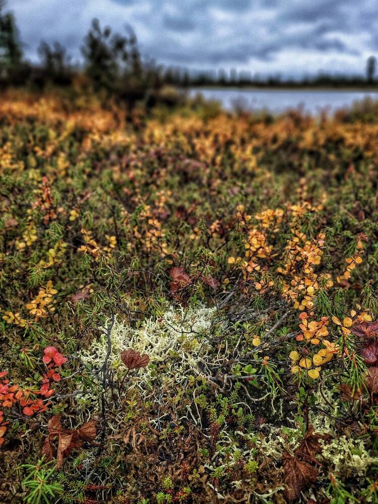 Photograph by Любомир