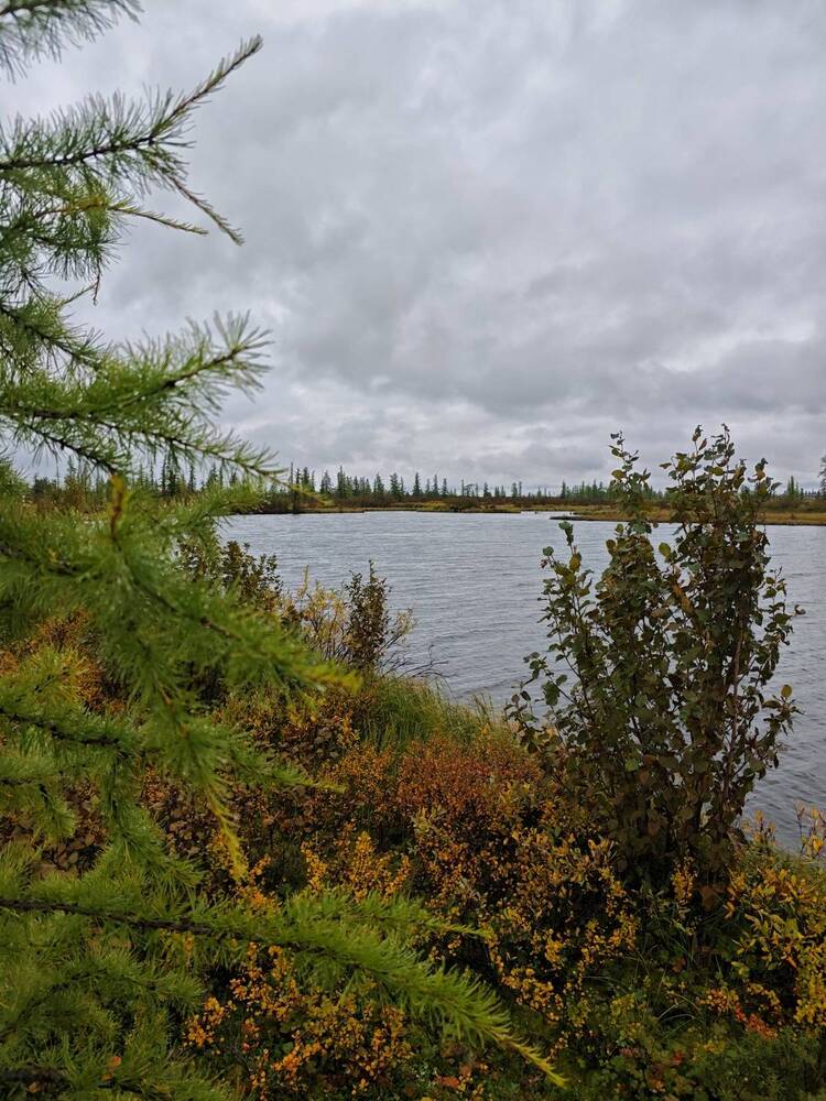 Photograph by Любомир