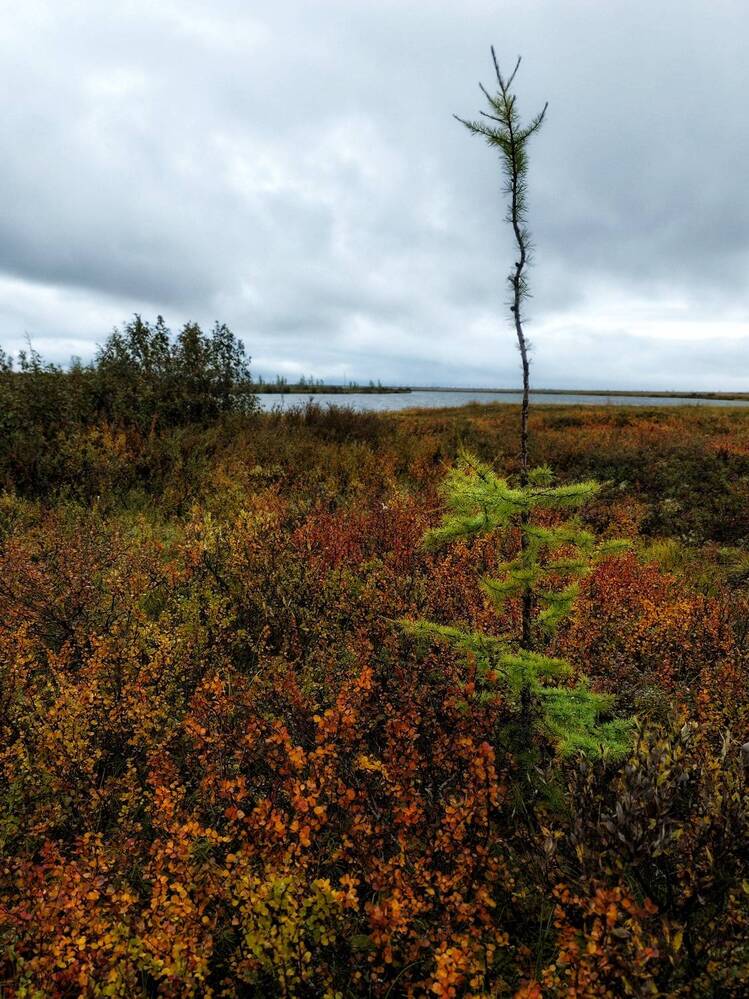 Photograph by Любомир