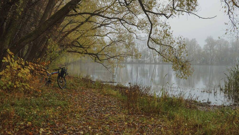 Photograph by Сушкевич Светлана