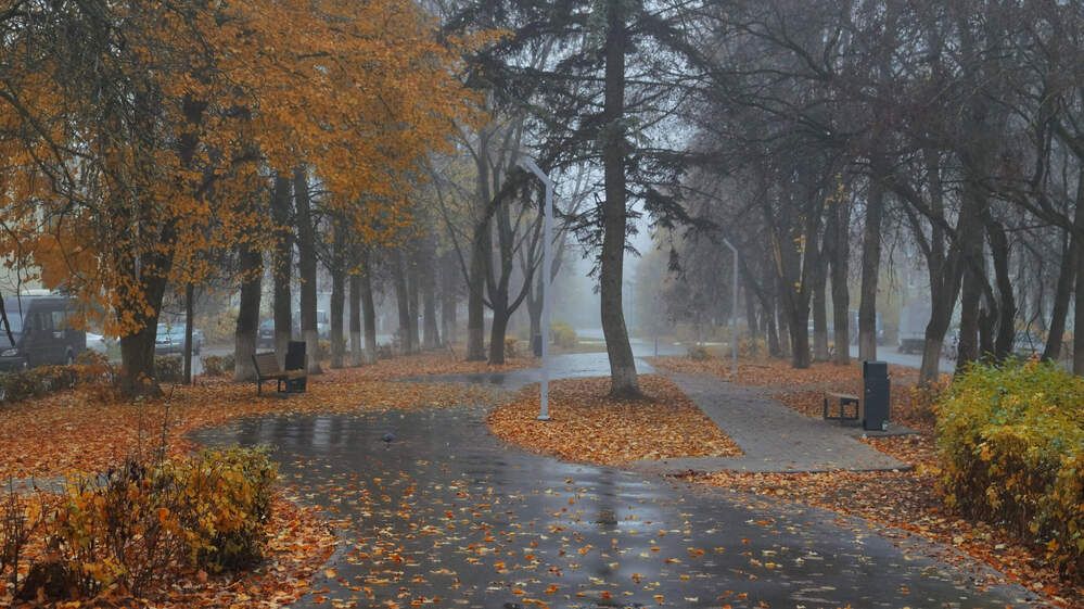 Photograph by Сушкевич Светлана