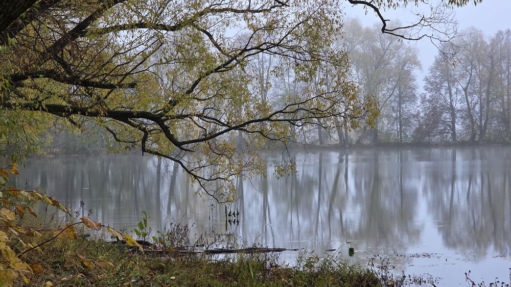 Photograph by Сушкевич Светлана