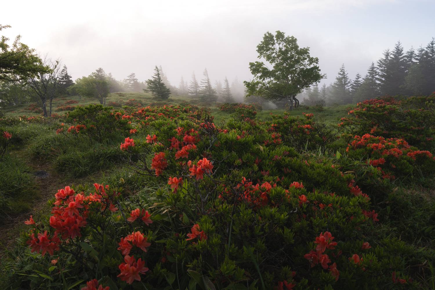 Фотография #12727155