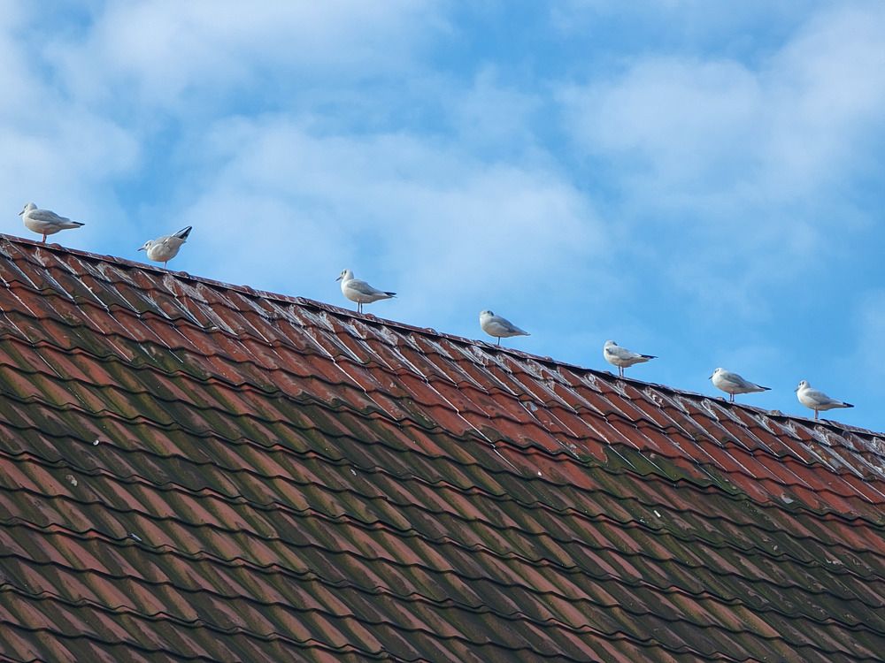Фотография автора Валентин Науменков