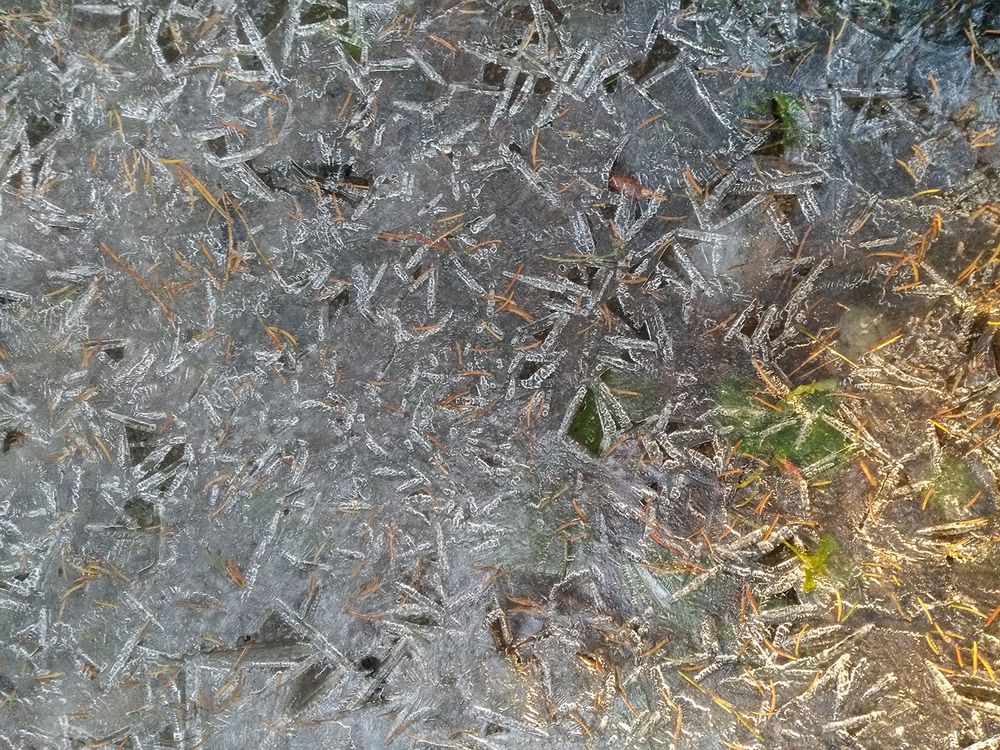 Фотография автора Борис Журавлёв