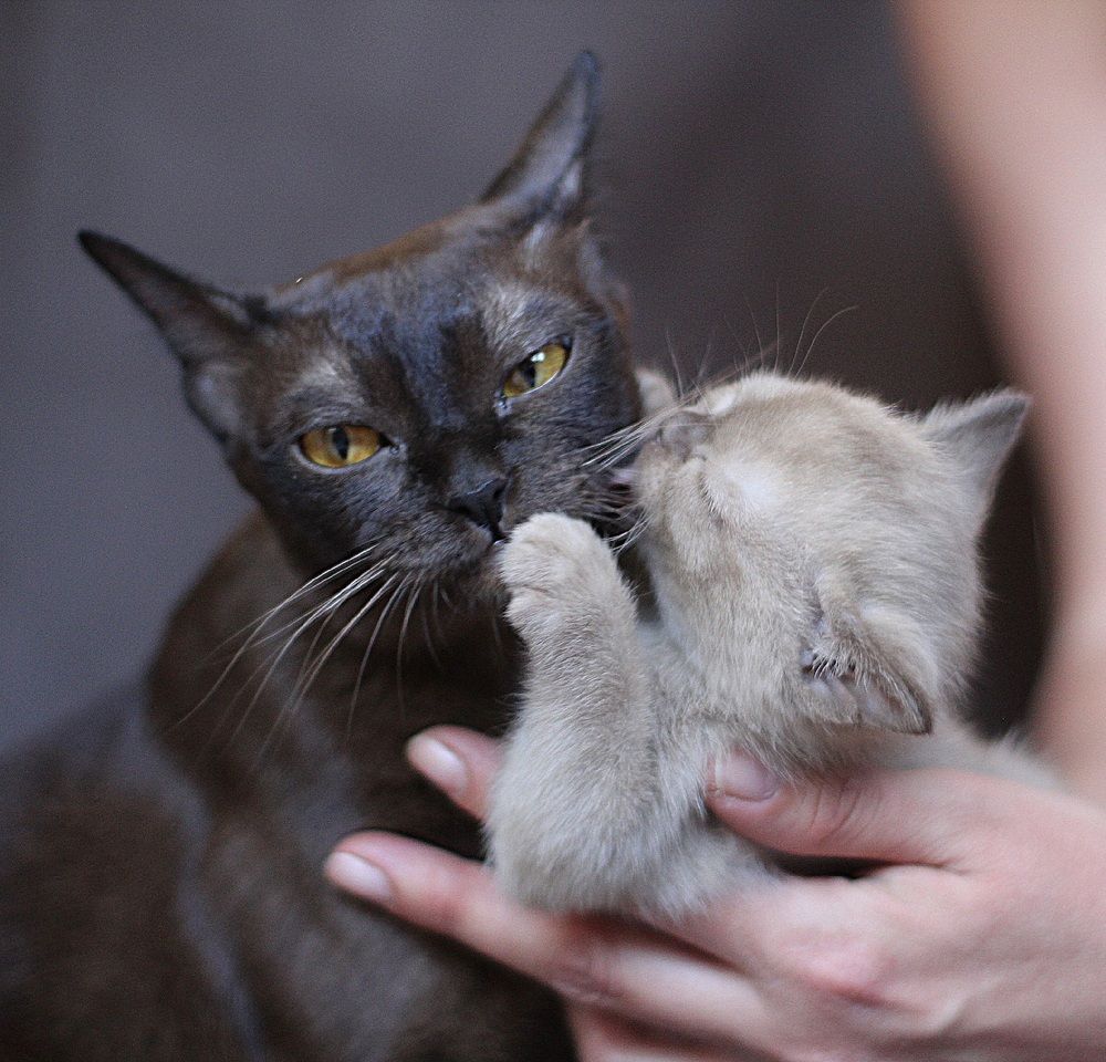 Photograph by Оксана Шарагина