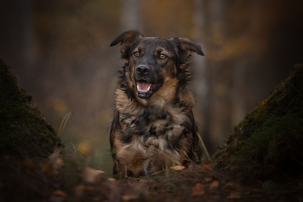 Photograph by Елена Самусенкова