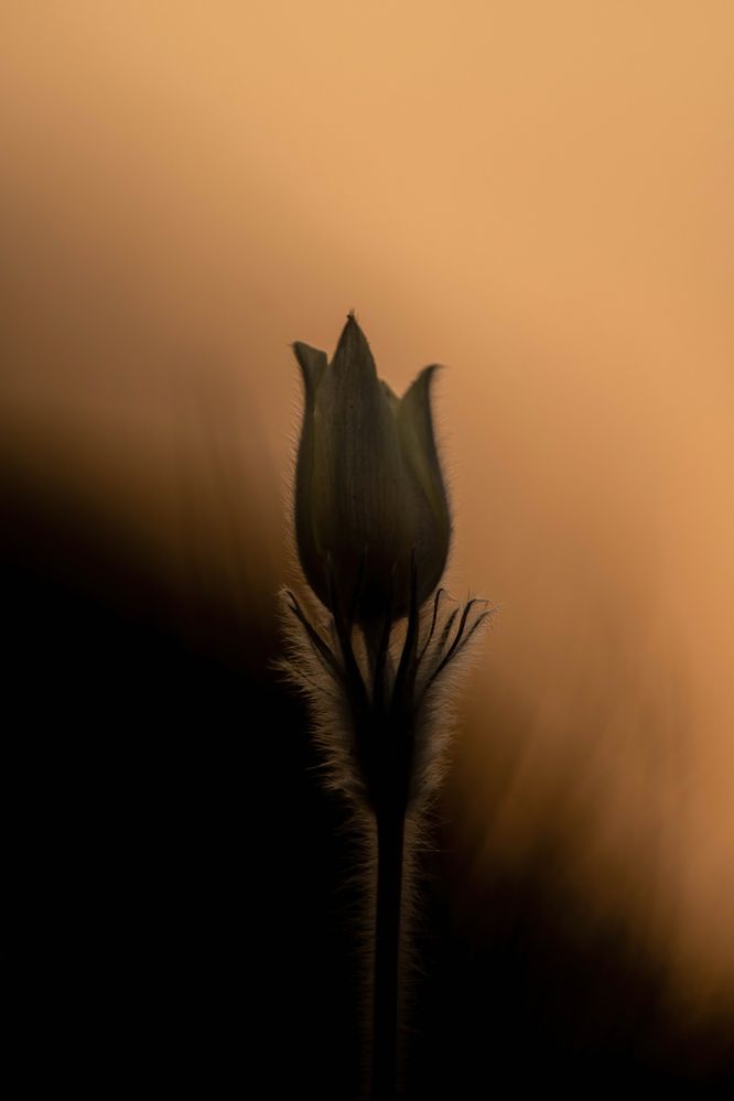 Photograph by Калиногорский Юрий