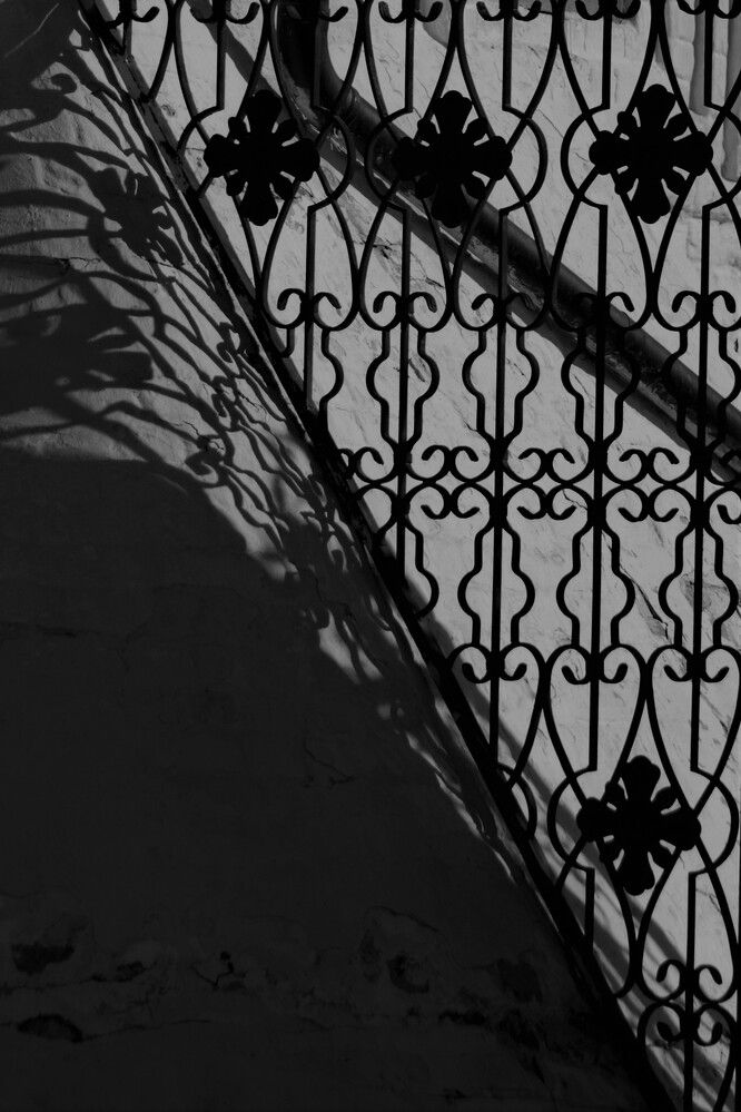 Photograph by Наталья Веряскина