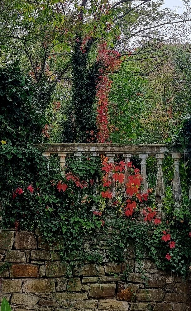 Фотография автора Наталья