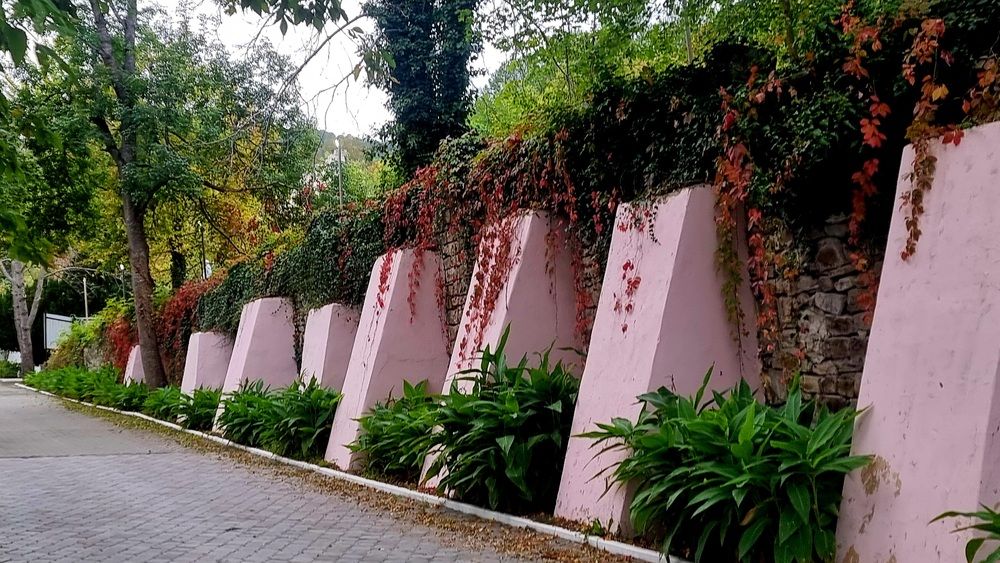 Фотография автора Наталья