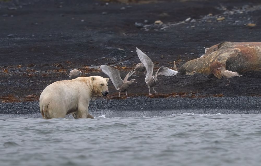 Photograph by Наталия Полякова