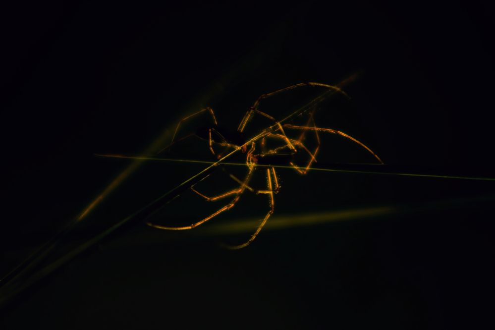Photograph by Калиногорский Юрий
