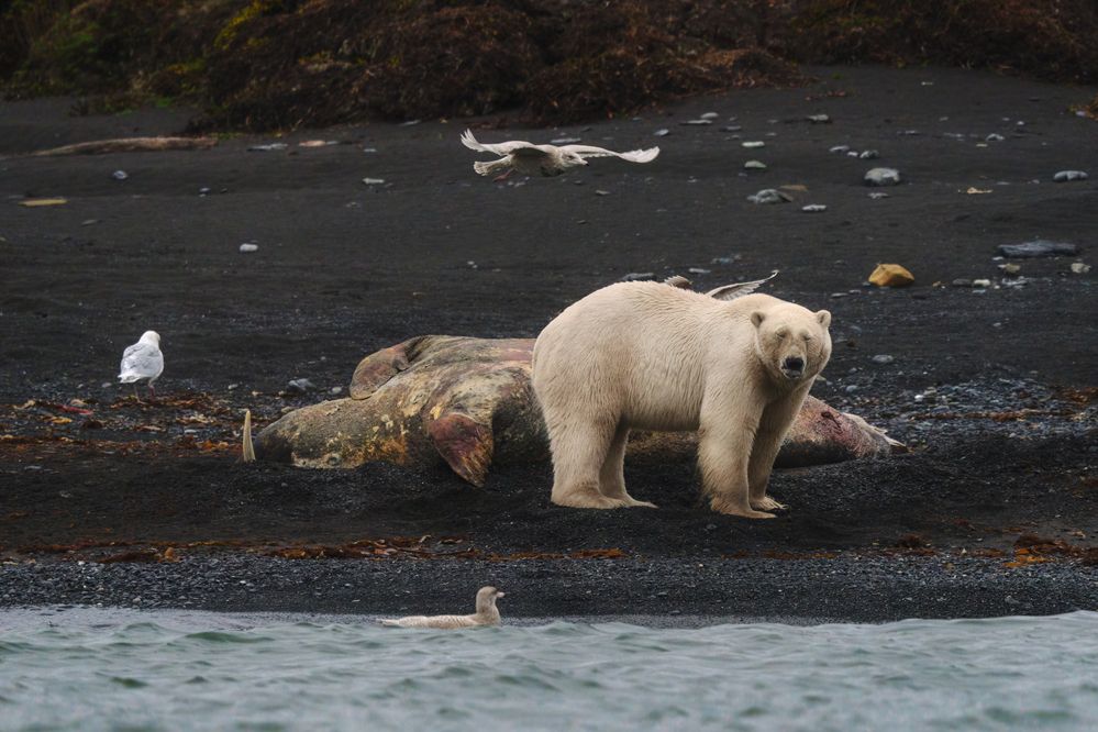Photograph by Наталия Полякова